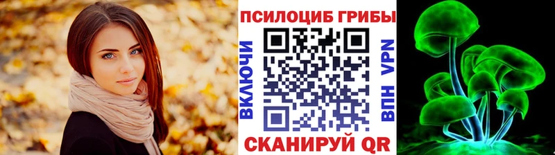 Псилоцибиновые грибы MAGIC MUSHROOMS  Купить  Яхрома 